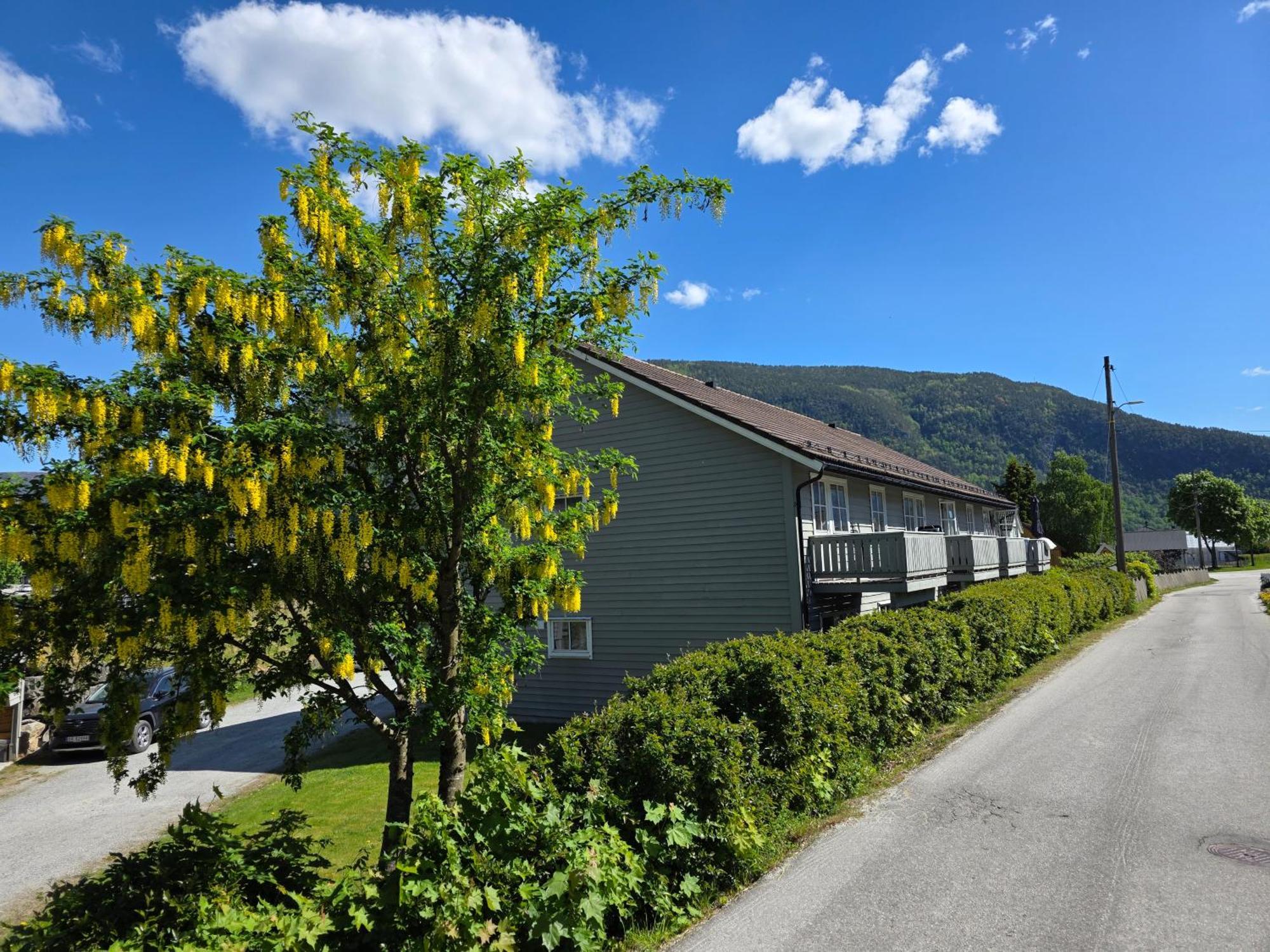 Rom I Bofellesskap Lejlighed Sogndal Eksteriør billede